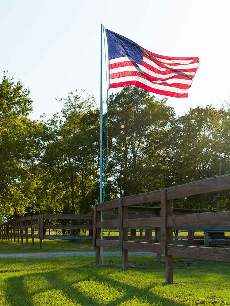flagpole in a yard.