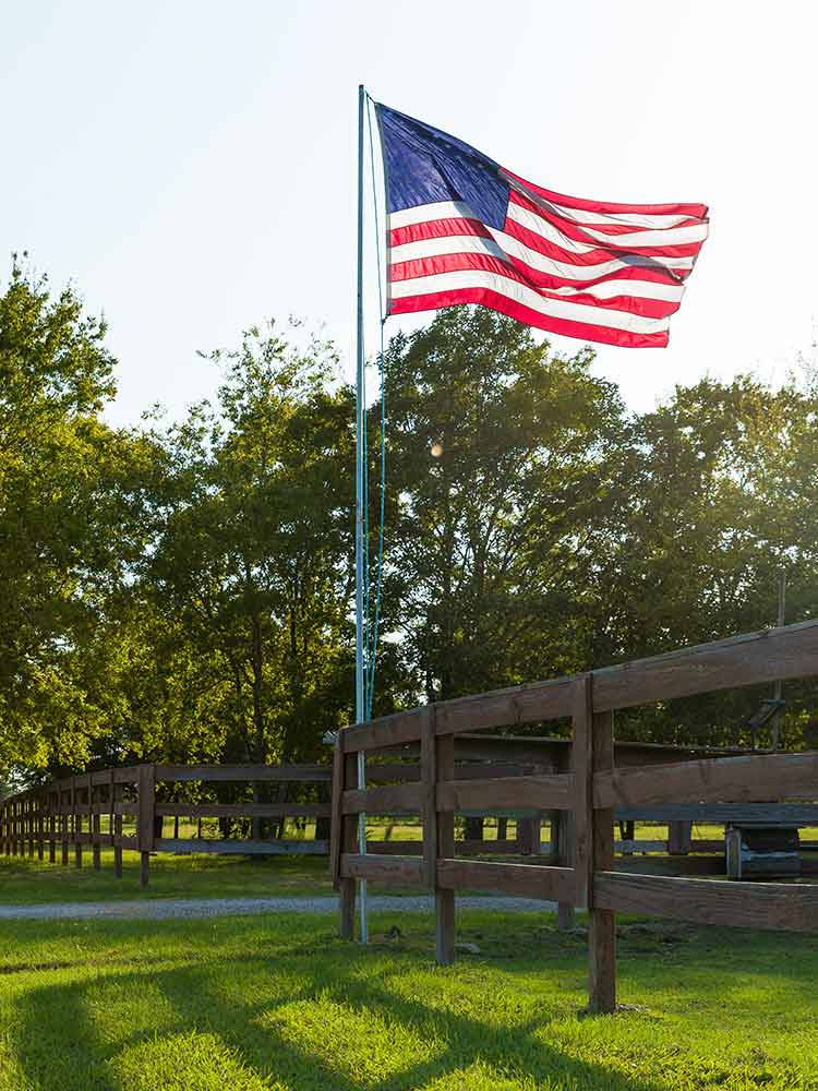 res-flagpole-3 flagpole in a yard.